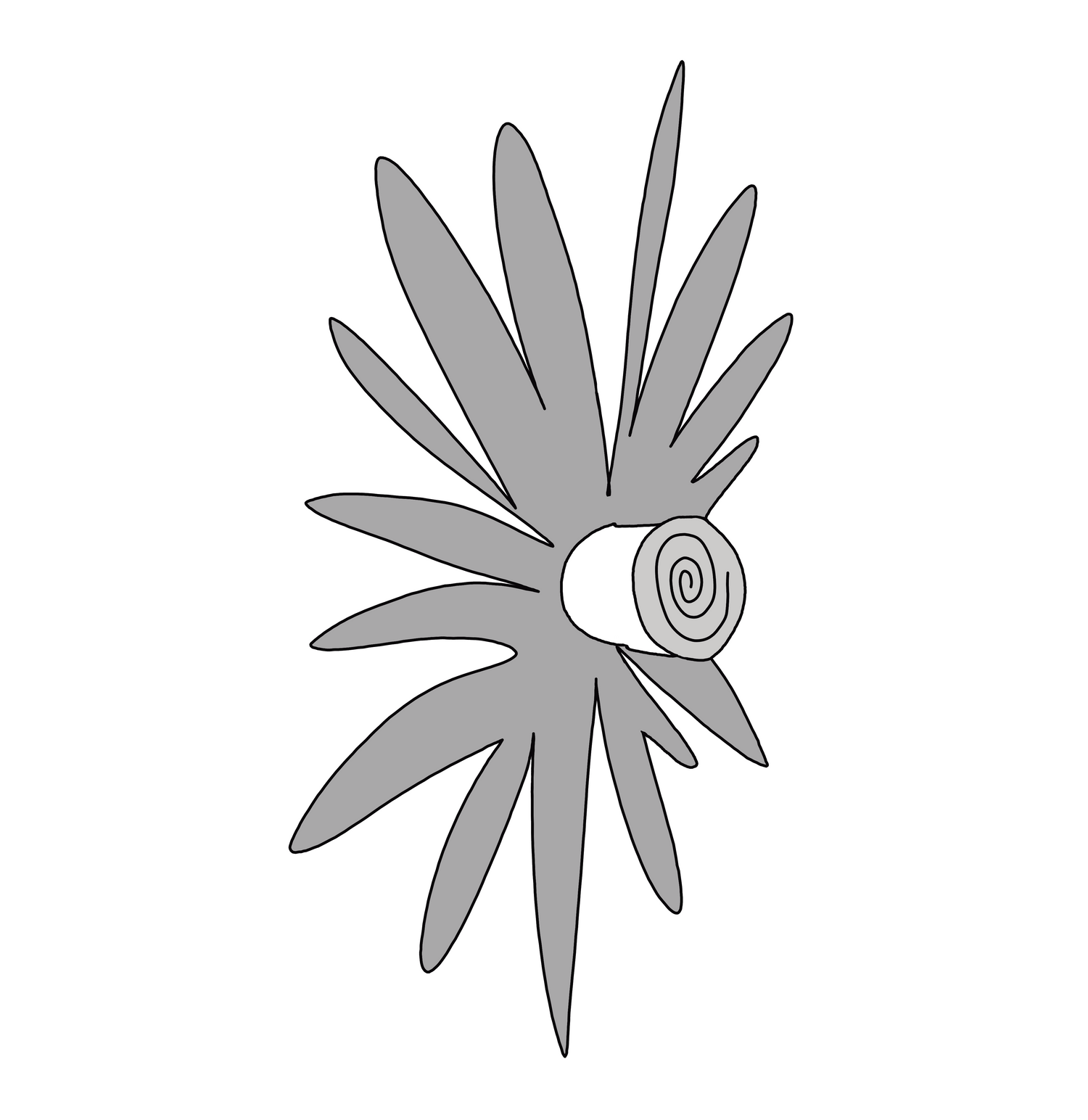 Flower Esotik