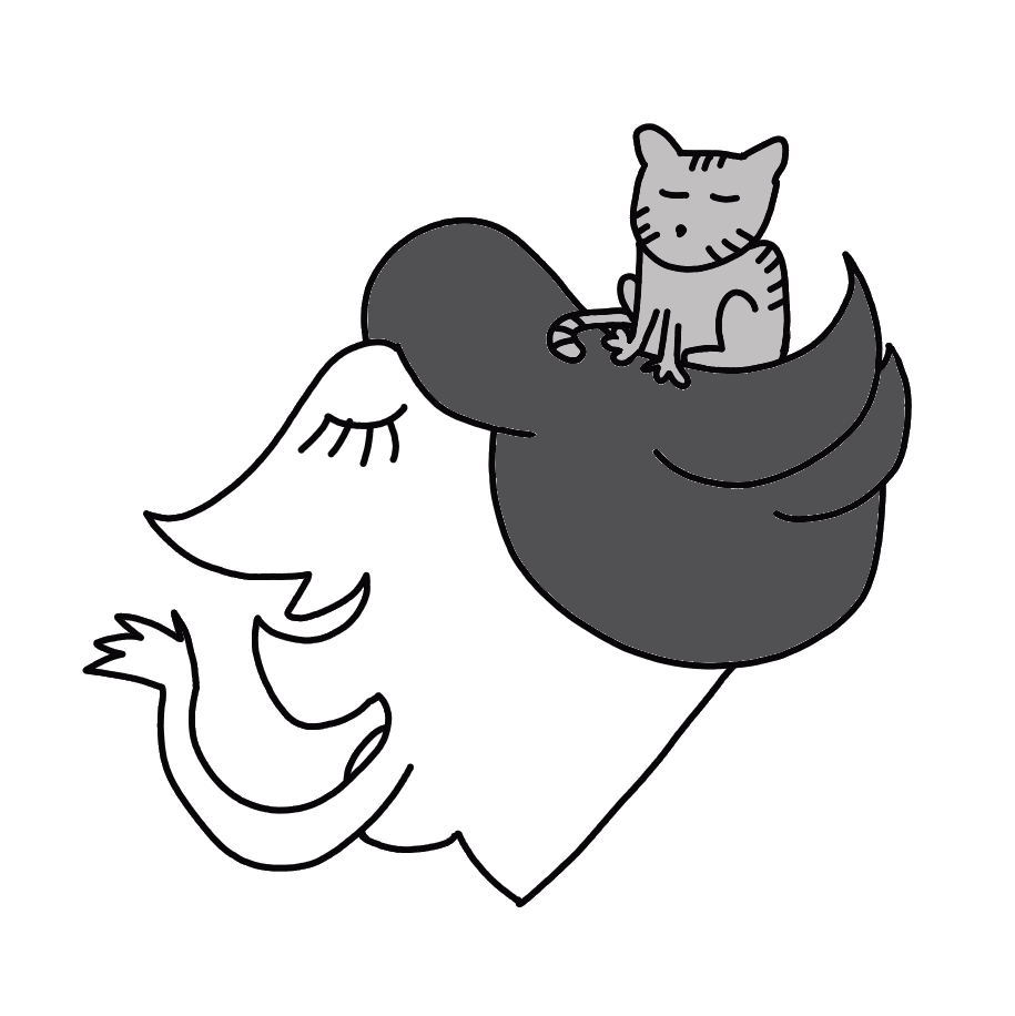 La Donna E Il Gatto